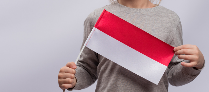Metodyka nauczania języka polskiego jako obcego